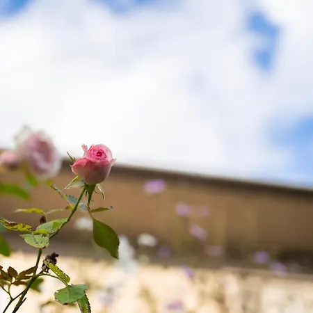 一組貸切宿 岡村 弐番館 Limited To 1Group Per Day 一棟まるまる貸切 Suwa  Exterior photo
